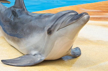 Similar image 2914573