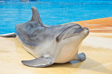 Similar image 2914574