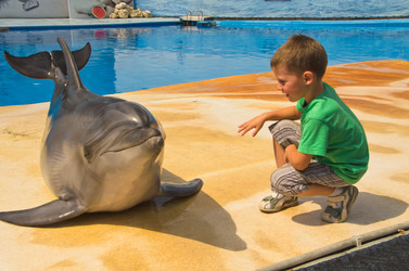 Similar image 2914575