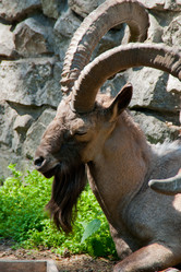 Similar image 2914762