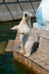 Similar image 2914763