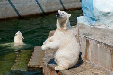 Similar image 2914764