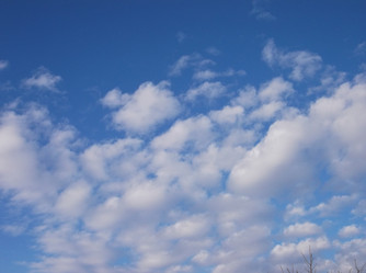 Similar image 2914785