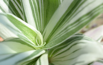 Similar image 2914788