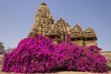 Similar image 2914810