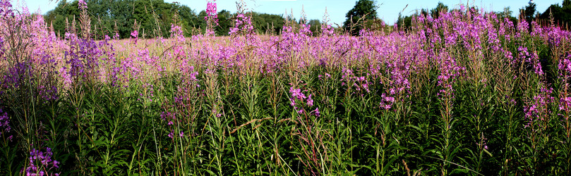 Similar image 2914835