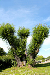 Similar image 2914853