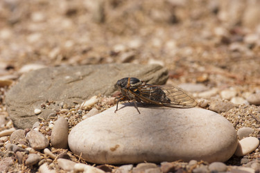 Similar image 2914872