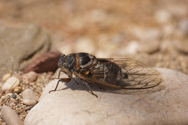 Similar image 2914873