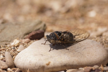 Similar image 2914892