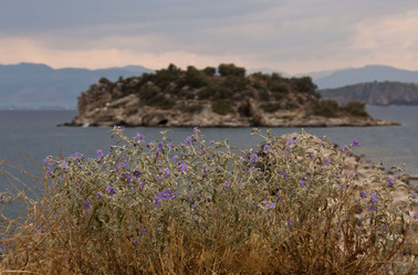 Similar image 2914895