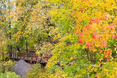 Similar image 2914943