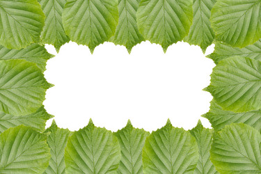 Similar image 2914982