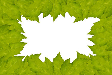 Similar image 2914983