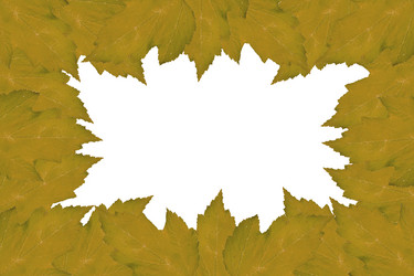 Similar image 2914984