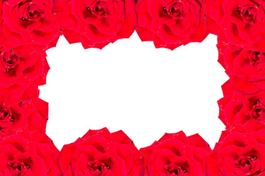 Similar image 2914987