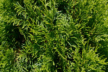 Similar image 2914990