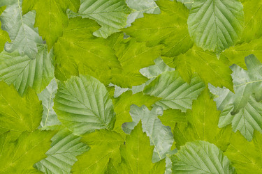 Similar image 2914994