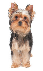 Similar image 2914997