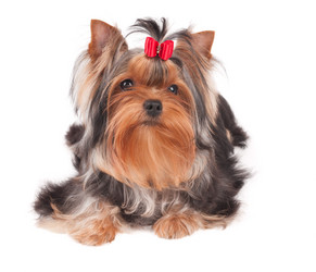 Similar image 2914998