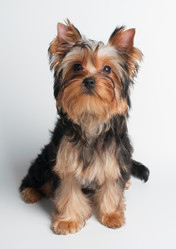 Similar image 2914999