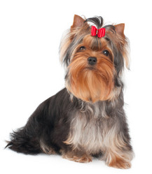 Similar image 2915000