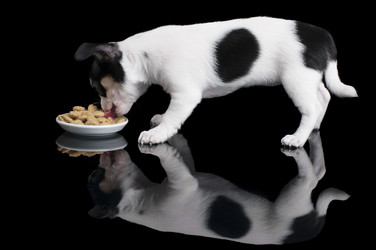 Similar image 2915002