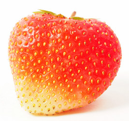 Similar image 2915008