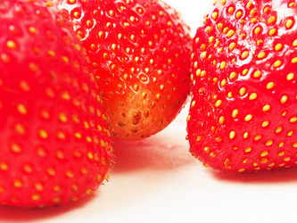 Similar image 2915009