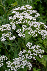 Similar image 2915018