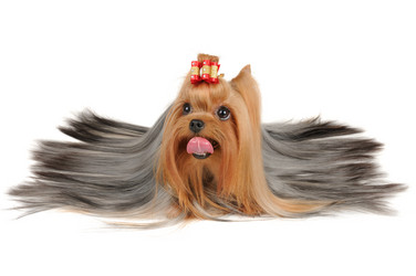 Similar image 2915035