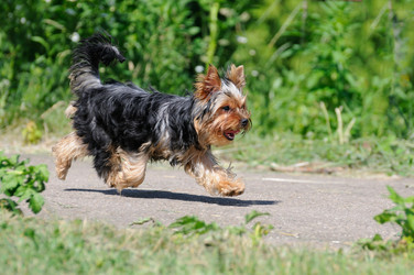 Similar image 2915036