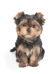 Similar image 2915037