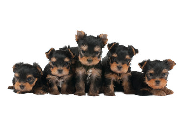 Similar image 2915039