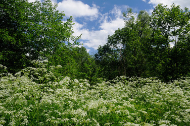 Similar image 2915044