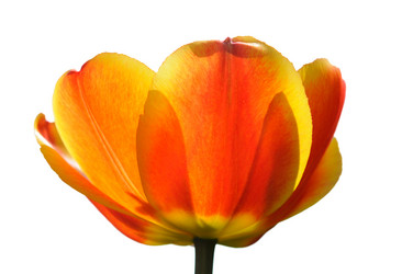 Similar image 2915048