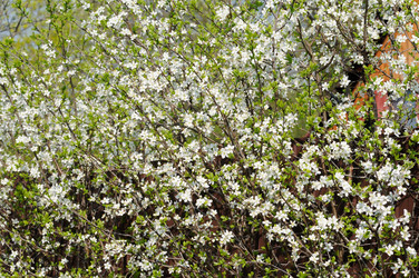 Similar image 2915050