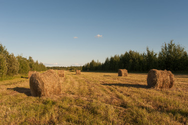 Similar image 2915432