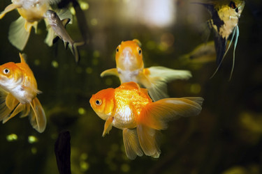 Similar image 2915473