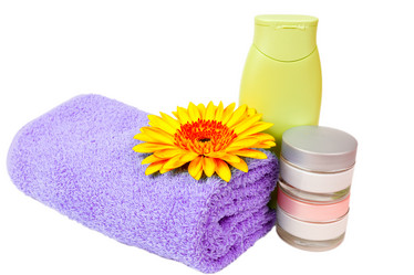 Similar image 2915491