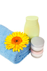 Similar image 2915495