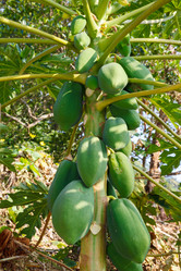 Similar image 2915497