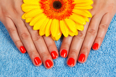 Similar image 2915503