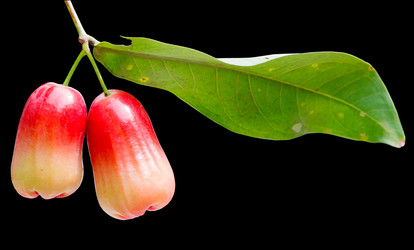 Similar image 2915509