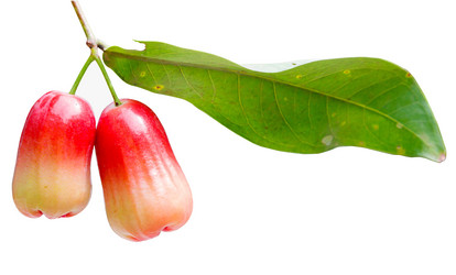 Similar image 2915515