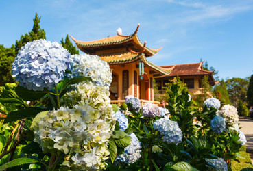 Similar image 2915553