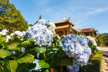 Similar image 2915558