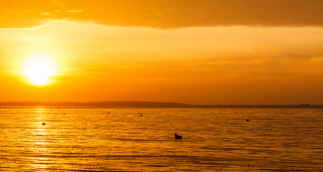 Similar image 2915562