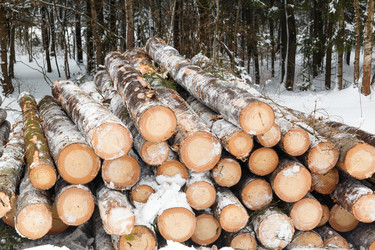 Similar image 2915589