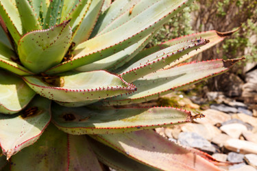 Similar image 2915697